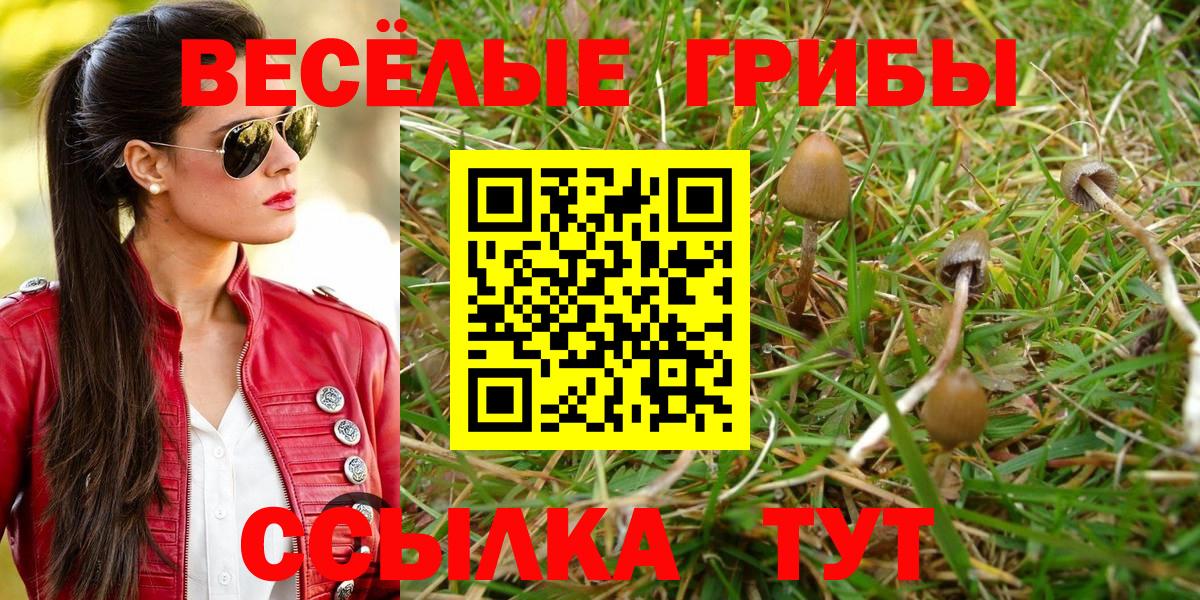 Жуковский  Псилоцибиновые грибы прущие грибы  Вход с VPN 